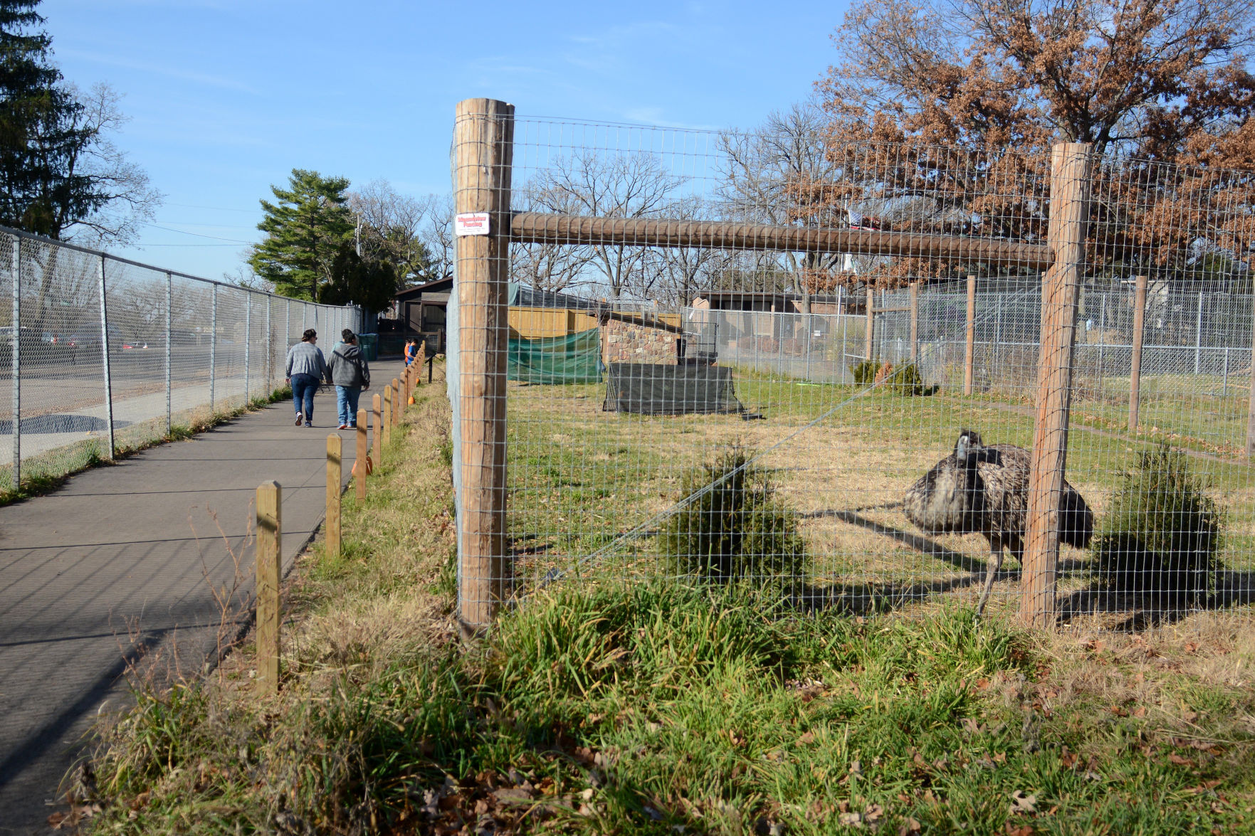 Scenes from Baraboo's Ochsner Park Zoo, Nov. 7, 2020